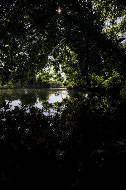 İtalya kırsalındaki bir parktaki bir nehrin çağlayanı ağaç dalları ve sudaki yansımalarıyla çerçevelenmiş.