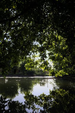 İtalya kırsalındaki bir parktaki bir nehrin çağlayanı ağaç dalları ve sudaki yansımalarıyla çerçevelenmiş.