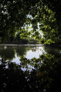 İtalya kırsalındaki bir parktaki bir nehrin çağlayanı ağaç dalları ve sudaki yansımalarıyla çerçevelenmiş.