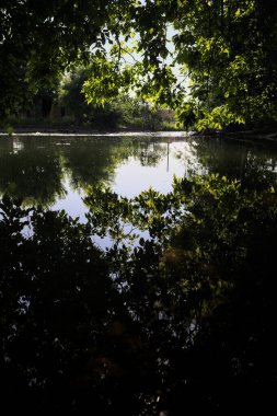 İtalya kırsalındaki bir parktaki bir nehrin çağlayanı ağaç dalları ve sudaki yansımalarıyla çerçevelenmiş.