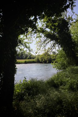 Güneşli bir günde, İtalya kırsalındaki bir tarlanın yanından geçen nehir kıyıdaki bir parkın ağaçlarıyla çevrili.