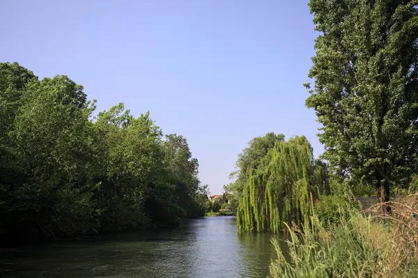 İtalya kırsalında güneşli bir günde, kıyılarında salkım söğüdü olan bir parkın içinden geçen nehir.
