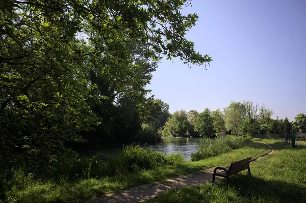 Tahta bank, kısmen gölgede, nehir kıyısında, İtalya kırsalındaki bir parkın yanında.