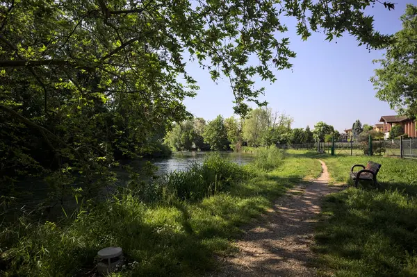 Tahta bank, kısmen gölgede, nehir kıyısında, İtalya kırsalındaki bir parkın yanında.