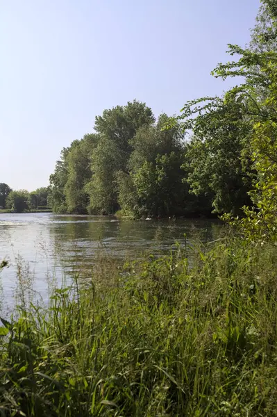İtalya kırsalındaki bir parktan geçen nehir kıyıdaki ağaçlar ve bitkiler tarafından çerçevelenmiş bir şelale ile.
