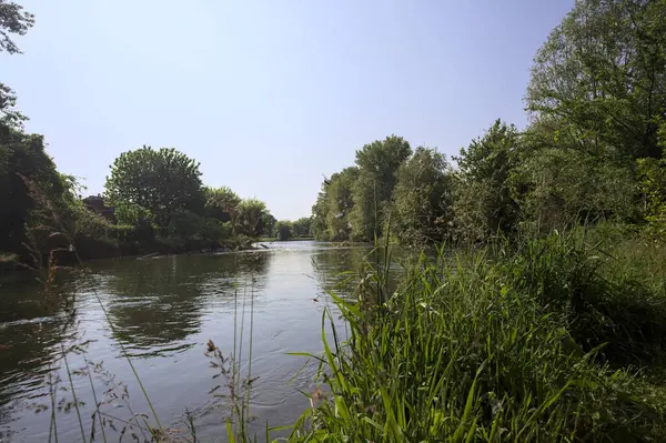 İtalya kırsalındaki bir parktan geçen nehir kıyıdaki ağaçlar ve bitkiler tarafından çerçevelenmiş bir şelale ile.