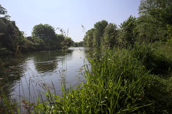 İtalya kırsalındaki bir parktan geçen nehir kıyıdaki ağaçlar ve bitkiler tarafından çerçevelenmiş bir şelale ile.