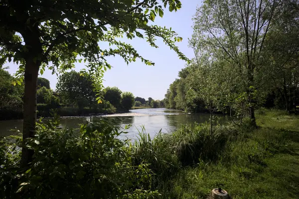İtalya kırsalındaki bir parktan geçen nehir kıyıdaki ağaçlar ve bitkiler tarafından çerçevelenmiş bir şelale ile.
