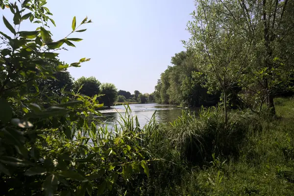İtalya kırsalındaki bir parktan geçen nehir kıyıdaki ağaçlar ve bitkiler tarafından çerçevelenmiş bir şelale ile.