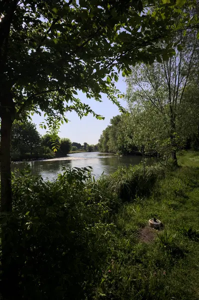 İtalya kırsalındaki bir parktan geçen nehir kıyıdaki ağaçlar ve bitkiler tarafından çerçevelenmiş bir şelale ile.