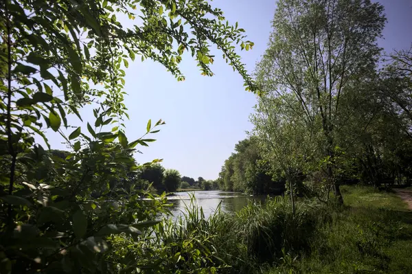 İtalya kırsalındaki bir parktan geçen nehir kıyıdaki ağaçlar ve bitkiler tarafından çerçevelenmiş bir şelale ile.