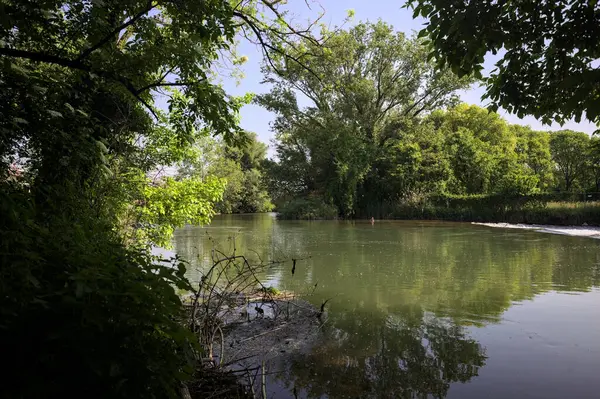 Ağaçların çerçevelediği parktan geçen bir nehrin kıvrımları da suya atılmış.