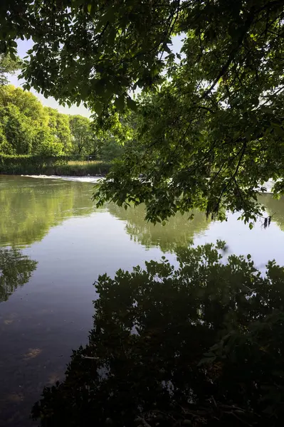 İtalya kırsalındaki bir parktaki bir nehrin çağlayanı ağaç dalları ve sudaki yansımalarıyla çerçevelenmiş.