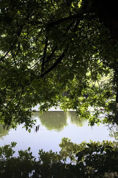 İtalya kırsalındaki bir parktaki bir nehrin çağlayanı ağaç dalları ve sudaki yansımalarıyla çerçevelenmiş.