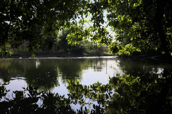İtalya kırsalındaki bir parktaki bir nehrin çağlayanı ağaç dalları ve sudaki yansımalarıyla çerçevelenmiş.
