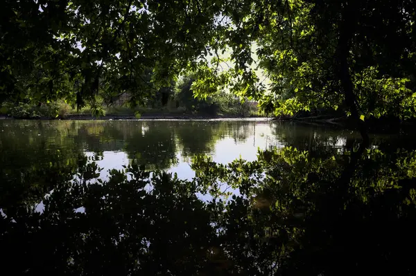 İtalya kırsalındaki bir parktaki bir nehrin çağlayanı ağaç dalları ve sudaki yansımalarıyla çerçevelenmiş.