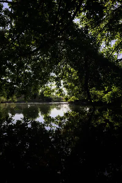 İtalya kırsalındaki bir parktaki bir nehrin çağlayanı ağaç dalları ve sudaki yansımalarıyla çerçevelenmiş.