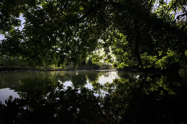 İtalya kırsalındaki bir parktaki bir nehrin çağlayanı ağaç dalları ve sudaki yansımalarıyla çerçevelenmiş.