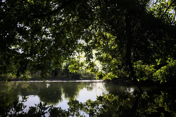 İtalya kırsalındaki bir parktaki bir nehrin çağlayanı ağaç dalları ve sudaki yansımalarıyla çerçevelenmiş.