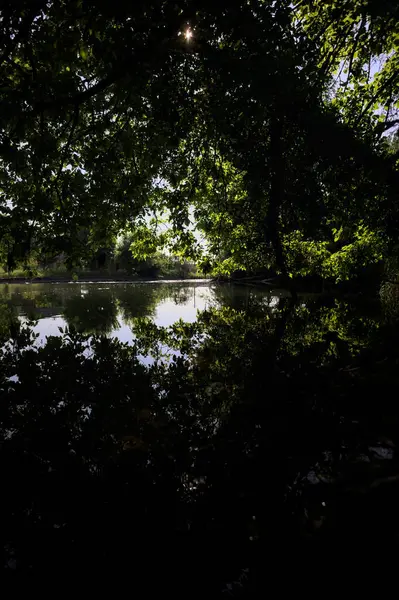 İtalya kırsalındaki bir parktaki bir nehrin çağlayanı ağaç dalları ve sudaki yansımalarıyla çerçevelenmiş.