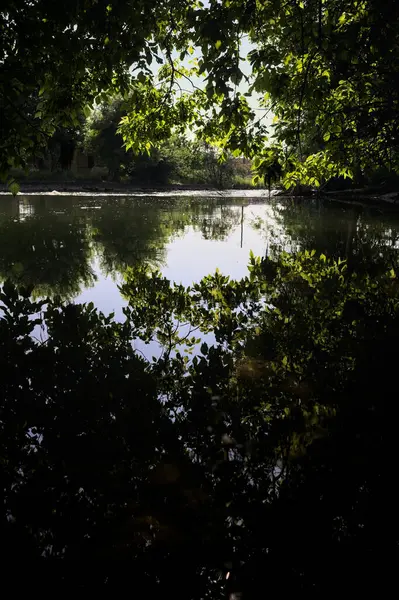 İtalya kırsalındaki bir parktaki bir nehrin çağlayanı ağaç dalları ve sudaki yansımalarıyla çerçevelenmiş.