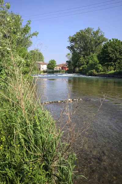 Çimenli olanla İtalyan kırsalındaki bir parktaki orijinal toprak arasındaki gölgeden ayrılın.