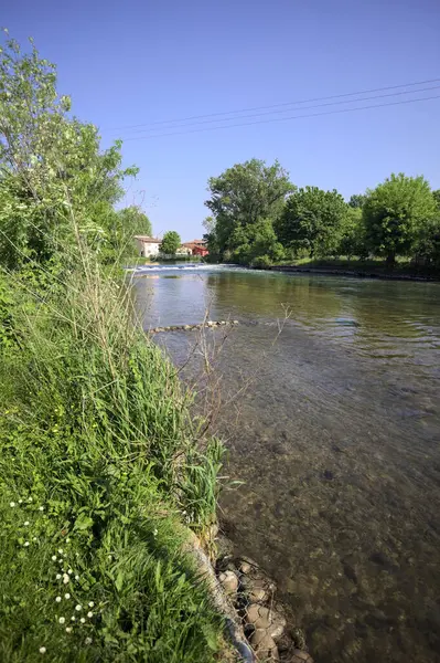 Çimenli olanla İtalyan kırsalındaki bir parktaki orijinal toprak arasındaki gölgeden ayrılın.