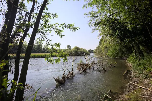 İtalya kırsalında ağaçlarla çevrili bir yerde boru hattı olan bir parkla bir tarla arasında akan nehir.