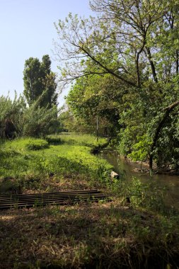 İtalya 'nın kırsal kesimindeki bir parkta, yanında ızgara olan bir su akıntısının yanında gözlerden uzak bir yer.