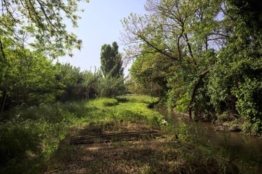 İtalya 'nın kırsal kesimindeki bir parkta, yanında ızgara olan bir su akıntısının yanında gözlerden uzak bir yer.
