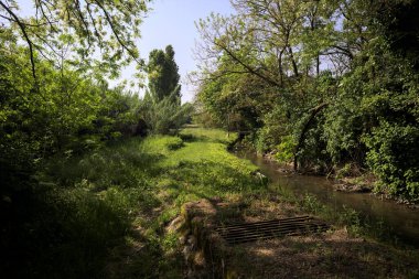 İtalya 'nın kırsal kesimindeki bir parkta, yanında ızgara olan bir su akıntısının yanında gözlerden uzak bir yer.
