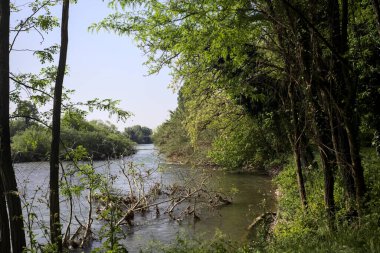 Güneşli bir günde, İtalya kırsalındaki bir tarlanın yanından geçen nehir kıyıdaki bir parkın ağaçlarıyla çevrili.
