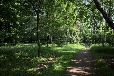 Güneşli bir günde, İtalya kırsalındaki bir tarlanın yanından geçen nehir kıyıdaki bir parkın ağaçlarıyla çevrili.