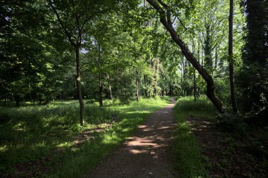 Çimenli olanla İtalyan kırsalındaki bir parktaki orijinal toprak arasındaki gölgeden ayrılın.