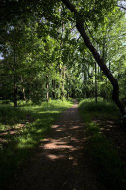 Çimenli olanla İtalyan kırsalındaki bir parktaki orijinal toprak arasındaki gölgeden ayrılın.