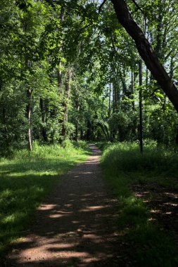 Çimenli olanla İtalyan kırsalındaki bir parktaki orijinal toprak arasındaki gölgeden ayrılın.