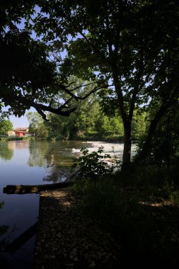 İtalya kırsalındaki bir parkta, üzerinde şelale olan bir nehirde kıvrıl. Gölgedeki ağaçlarla çerçevelenmiş.