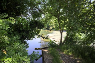 İtalya kırsalındaki bir parkta, üzerinde şelale olan bir nehirde kıvrıl. Gölgedeki ağaçlarla çerçevelenmiş.