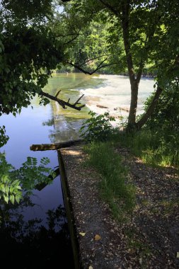 İtalya kırsalındaki bir parkta, üzerinde şelale olan bir nehirde kıvrıl. Gölgedeki ağaçlarla çerçevelenmiş.