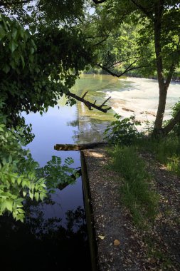 İtalya kırsalındaki bir parkta, üzerinde şelale olan bir nehirde kıvrıl. Gölgedeki ağaçlarla çerçevelenmiş.