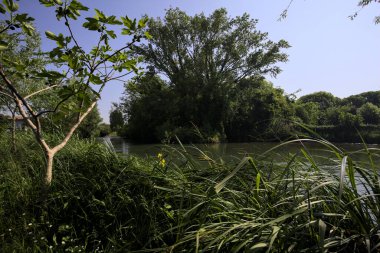 Ağaçların çerçevelediği parktan geçen bir nehrin kıvrımları da suya atılmış.