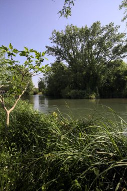 Ağaçların çerçevelediği parktan geçen bir nehrin kıvrımları da suya atılmış.