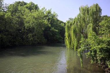 İtalya kırsalında güneşli bir günde, kıyılarında salkım söğüdü olan bir parkın içinden geçen nehir.