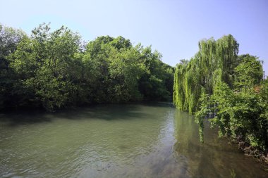 İtalya kırsalında güneşli bir günde, kıyılarında salkım söğüdü olan bir parkın içinden geçen nehir.