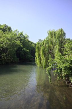 İtalya kırsalında güneşli bir günde, kıyılarında salkım söğüdü olan bir parkın içinden geçen nehir.