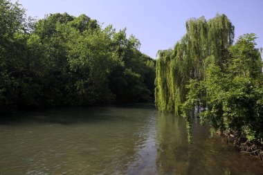 İtalya kırsalında güneşli bir günde, kıyılarında salkım söğüdü olan bir parkın içinden geçen nehir.