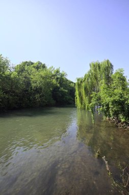 İtalya kırsalında güneşli bir günde, kıyılarında salkım söğüdü olan bir parkın içinden geçen nehir.