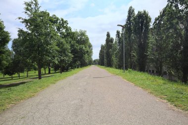 Güneşli bir günde, İtalya 'nın kırsal kesimindeki bir parktan geçen bir toprak setin üzerinde asfalt bir patika.