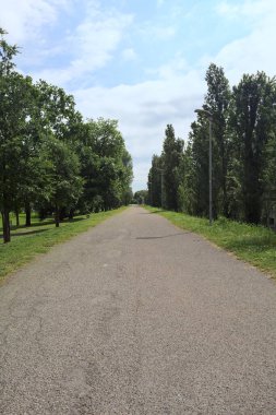 Güneşli bir günde, İtalya 'nın kırsal kesimindeki bir parktan geçen bir toprak setin üzerinde asfalt bir patika.