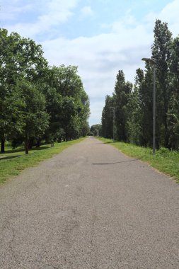 Güneşli bir günde, İtalya 'nın kırsal kesimindeki bir parktan geçen bir toprak setin üzerinde asfalt bir patika.